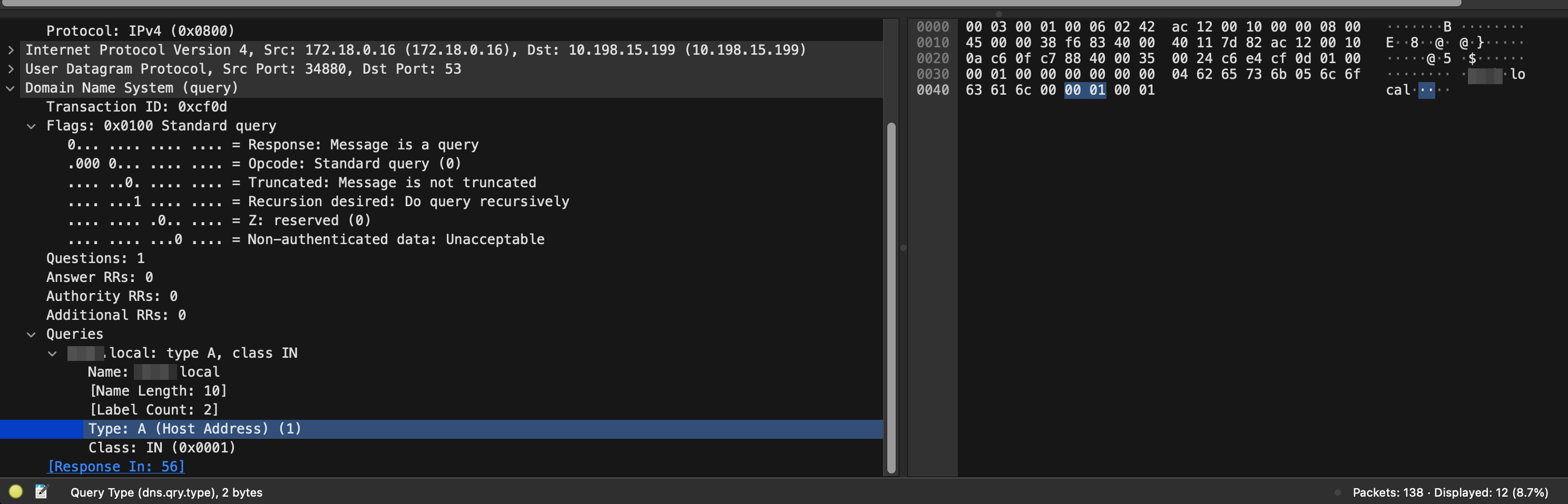 Wireshark DNS Packet