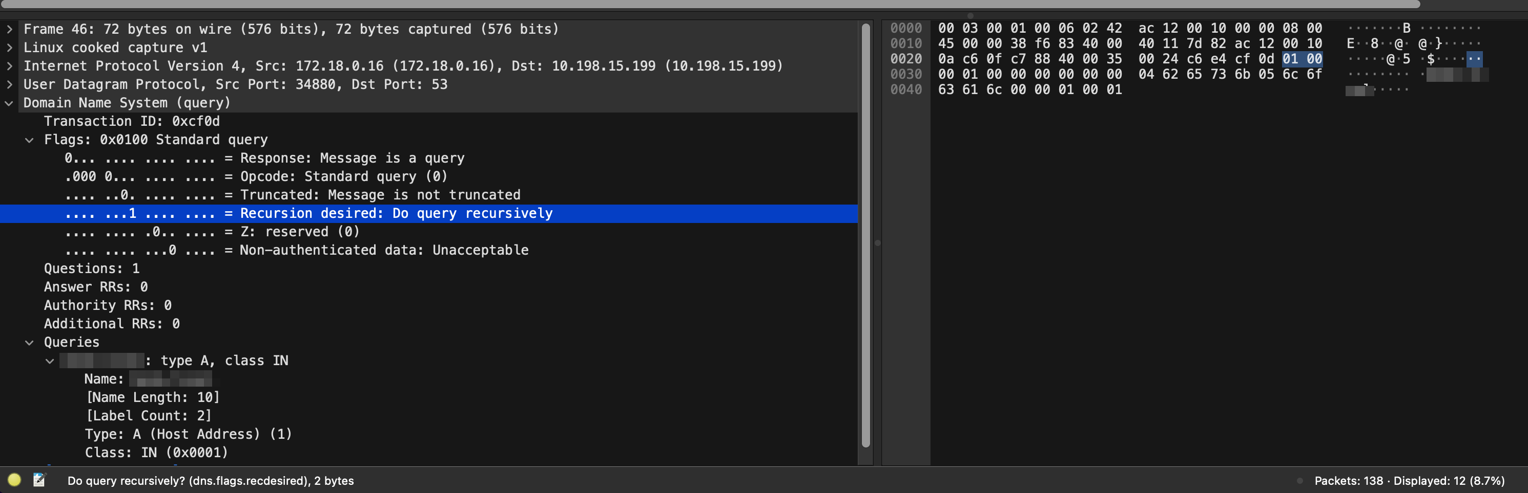 Wireshark DNS Packet